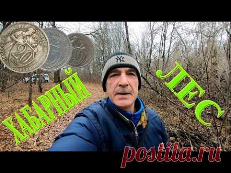 НЕВЕРОЯТНО ХАБАРНЫЙ ЛЕС | Коп с металлоискателем Эквинокс 800 - YouTube