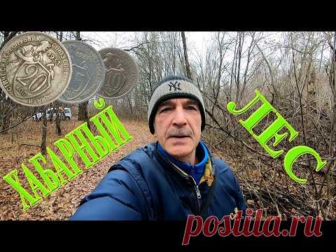 НЕВЕРОЯТНО ХАБАРНЫЙ ЛЕС | Коп с металлоискателем Эквинокс 800 - YouTube