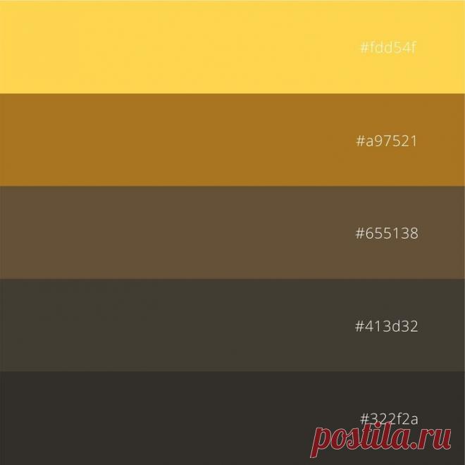 Цветовая палитра от природы. Фото и палитра, которую можно скачать - на сайте. #вдохновениецветом #природныеоттенки #кодцвета #цветоваяпалитра #inspiration #naturepalette #colorpalette