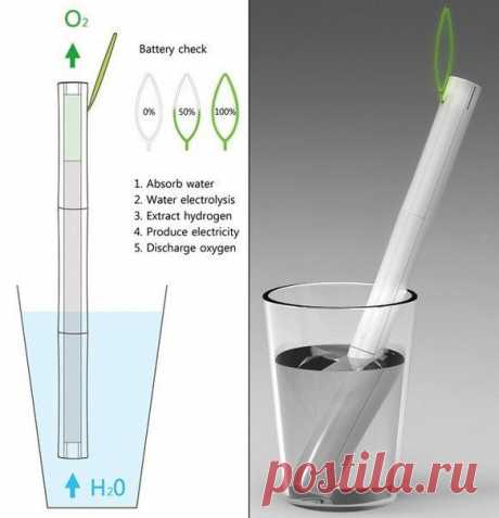 Какими будут ноутбуки будущего