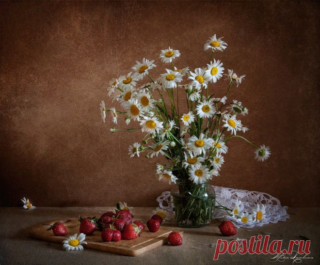 рука и ромашка: 32 тыс изображений найдено в Яндекс.Картинках