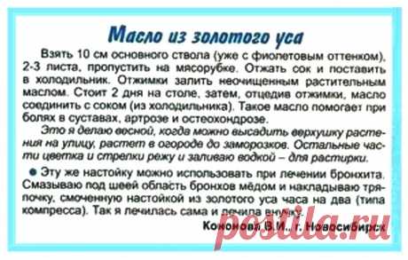 Масло золотого уса при болях в суставах
