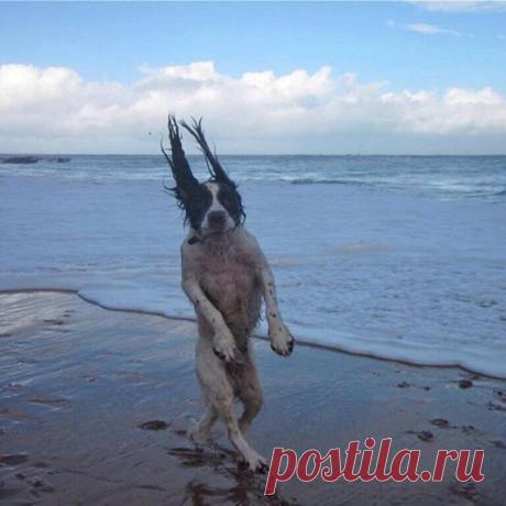 30 улётных фотографий, которые сделаны в очень подходящий момент