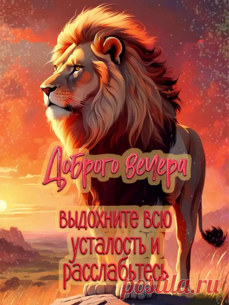Картинка доброго вечера со львом