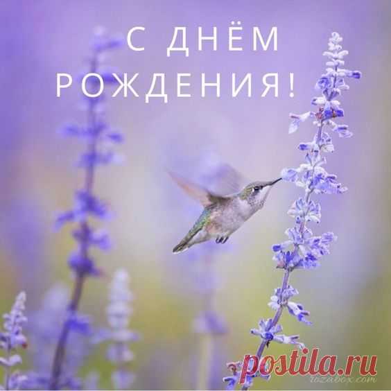 С днём рождения - классные открытки - RozaBox.com
