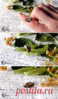 ЛЕПИМ ПЧЕЛУ ИЗ ПОЛИМЕРНОЙ ГЛИНЫ. ВМК