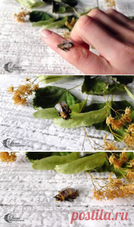 ЛЕПИМ ПЧЕЛУ ИЗ ПОЛИМЕРНОЙ ГЛИНЫ. ВМК