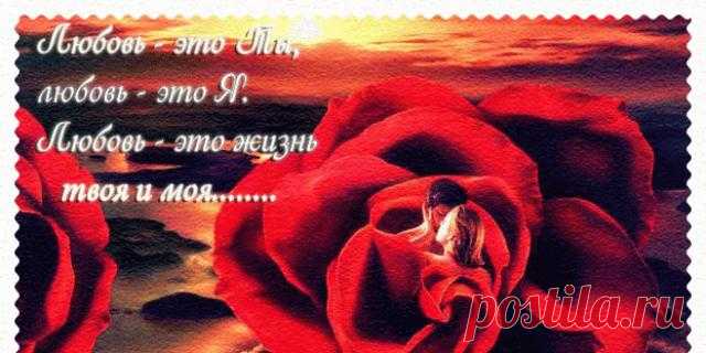 

Бывает за день столько суматохи,
Прошедший день не повернется вспять.
Любви уставшей соберите крохи:
Не помирившись — не ложитесь спать!