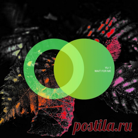 YU-1 – Wait for Me [AVE213]