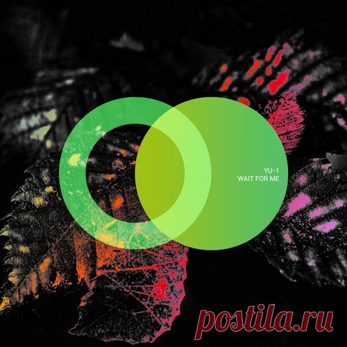 YU-1 – Wait for Me [AVE213]