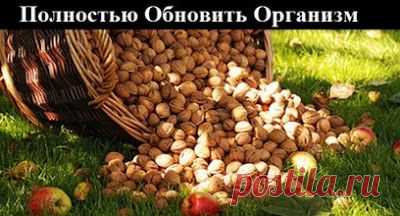 УНИКАЛЬНЫЙ РЕЦЕПТ. ПОЛНОЕ ОБНОВЛЕНИЕ ОРГАНИЗМА! БУДЬТЕ ЗДОРОВЫ!