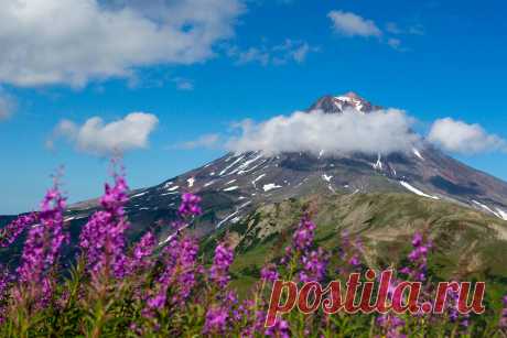 Summer of Kamchatka by Денис Будьков / 500px