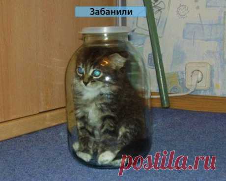 )))))
