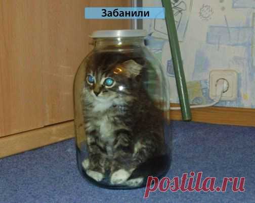 )))))