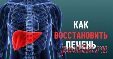 Чтобы печень была как новая! 12 самых лучших блюд, которые восстанавливают… 12 лучших друзей самого важного органа. — Journal women❜s