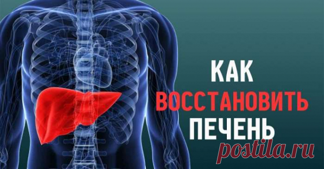 Чтобы печень была как новая! 12 самых лучших блюд, которые восстанавливают… 12 лучших друзей самого важного органа. — Домашний уют