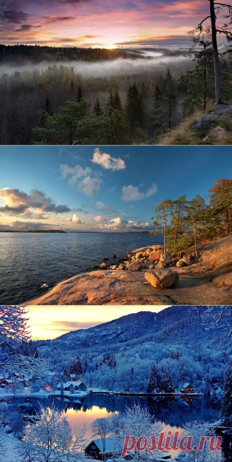 Финляндия - Республика на севере Европы - LeStatus - энциклопедия Земли