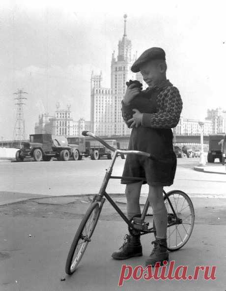 Велосипед "Ветерок", мальчик и котёнок. 1958г.