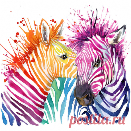 Funny Zebra T-shirt Graphics, Rainbow Zebra Illustration Stock Illustration - Illustration of african, celebration: 61008676 Funny zebra T-shirt graphics, rainbow zebra illustration. Illustration about african, celebration, background, animal, cute, illustration, painting, painted, child, farm - 61008676