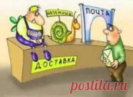 Отслеживание почтовых посылок | Польза-24
