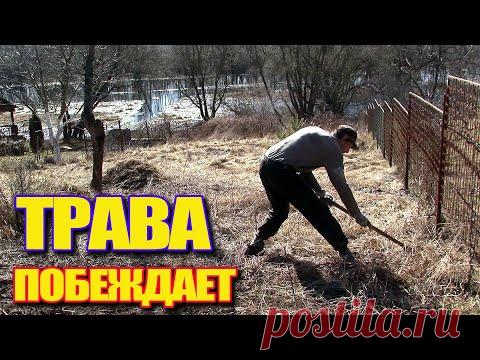 Трава не сдается под натиском граблей \ Художник в деревне продолжает...