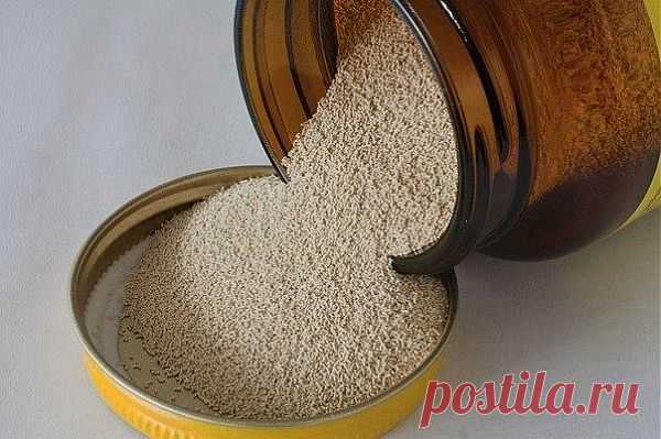 Зоя Пестова