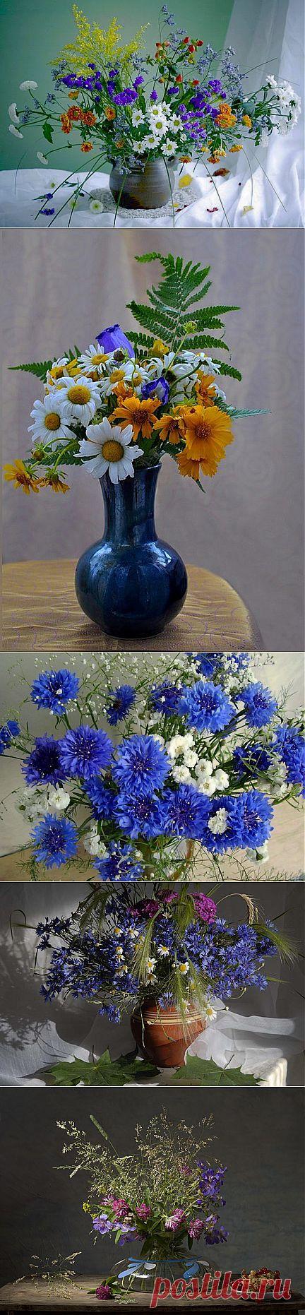 НЕ ДАРИ МНЕ ЦВЕТОВ ПОКУПНЫХ... | Самоцветик