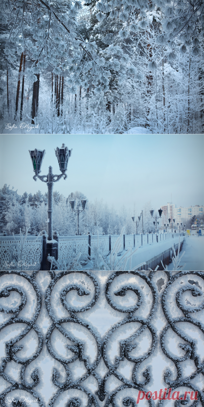 Лес из Нарнии - Sofia