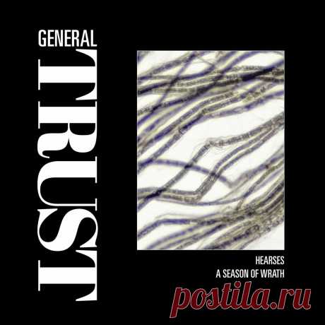 General Trust - Hearses / A Season of Wrath (Single) (2024) 320kbps / FLAC