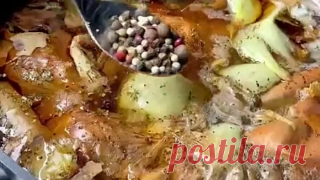 Скумбрия домашняя
