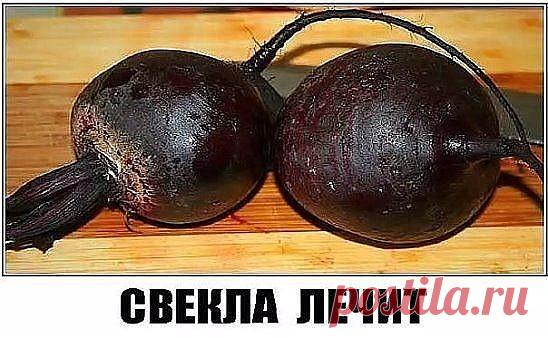 НЕВЕРОЯТНО - НО - ФАКТ !, Свекла лечит не хуже лекарств !
