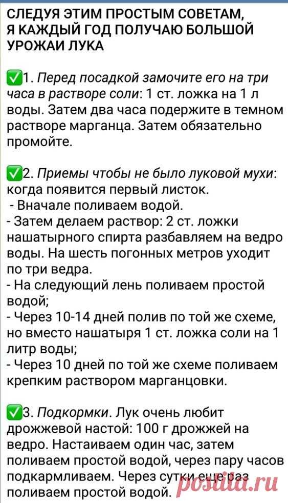 (3) Pinterest