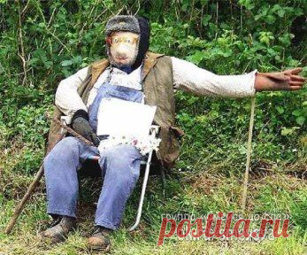 Пугало в огороде должно быть красивым)))