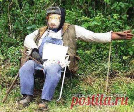 Пугало в огороде должно быть красивым)))