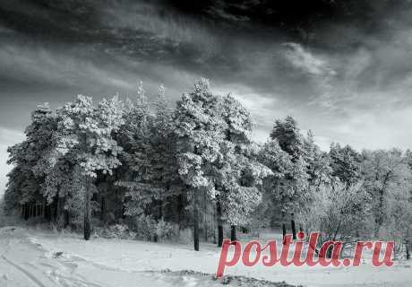 пейзажи природы: 104 тыс изображений найдено в Яндекс.Картинках ЗИМНИЙ ЛЕС!