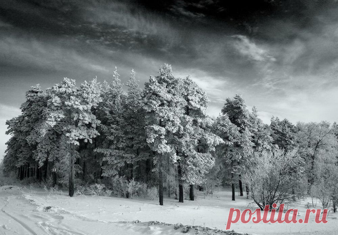 пейзажи природы: 104 тыс изображений найдено в Яндекс.Картинках ЗИМНИЙ ЛЕС!