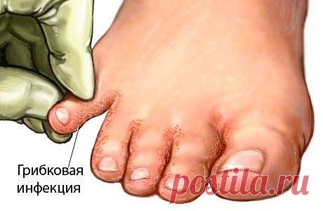 (6) Одноклассники