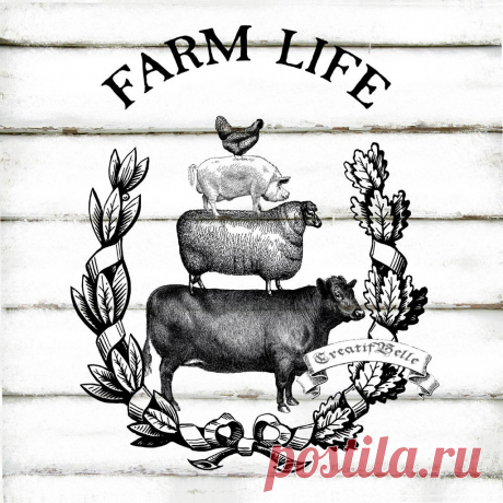 Черно-белые картинки для декупажа: монохромные распечатки, рисунки на фоне бутылки, на мебели мастер-класс