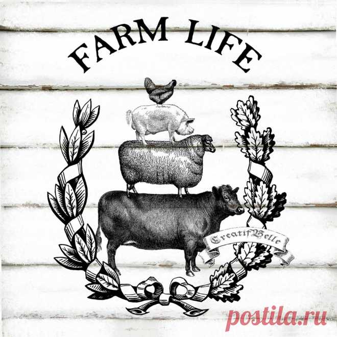 Черно-белые картинки для декупажа: монохромные распечатки, рисунки на фоне бутылки, на мебели мастер-класс