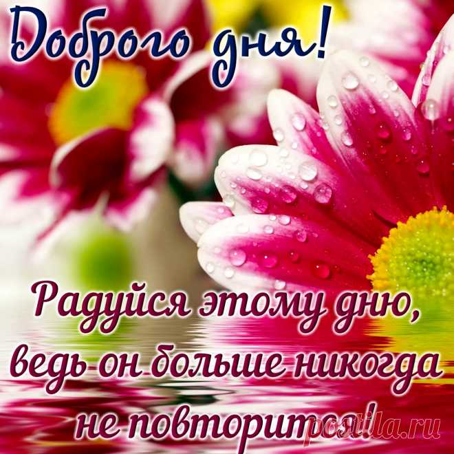 открытка пожелание доброго дня https://postila.ru/post/80827434