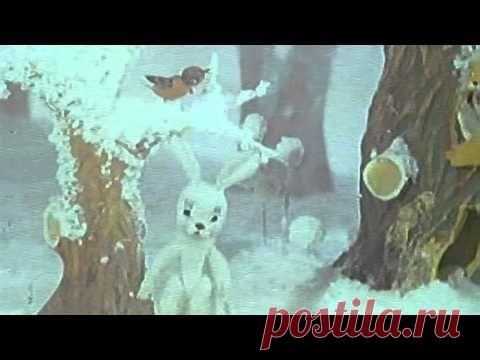 Музыка зимы - Детские видеоклипы