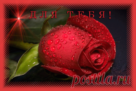 (60) Одноклассники