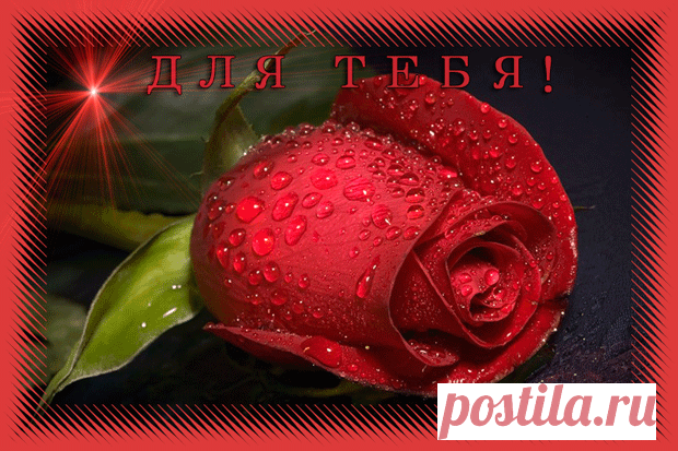 (60) Одноклассники