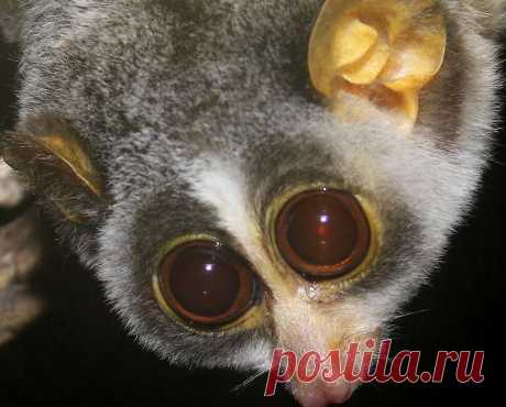 Видеоматериал. Очень трогательный ролик.