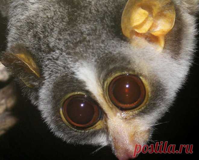 Видеоматериал. Очень трогательный ролик.