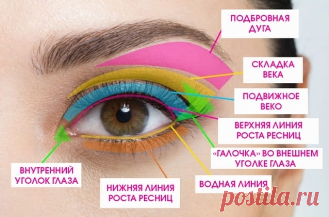 Как научиться красиво красить глаза тенями