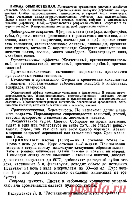 Пижма обыкновенная