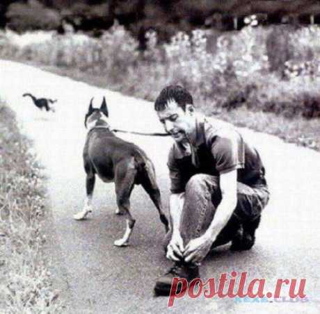 Одноклассники