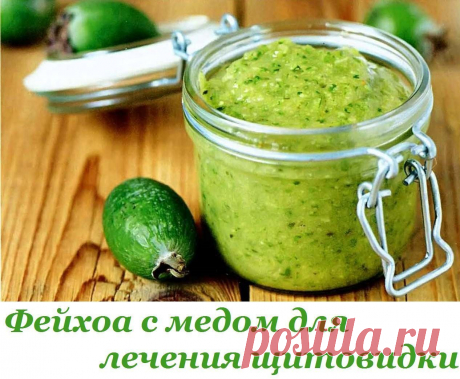 Смесь фейхоа с медом для лечения щитовидки
Доказана эффективность использования фейхоа с медом при заболеваниях щитовидной железы и сердечно сосудистой системы, ларингитах, ангине, высокой возбудимости нервной системы, а также для профилакти…