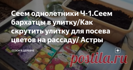 Сеем однолетники Ч-1.Сеем бархатцы в улитку/Как скрутить улитку для посева цветов на рассаду/ Астры Какие семена цветов посеять в апреле, для рассады однолетников тоже можно использовать улитку,  цветы посею в улитку,  чтобы рассада цветов не занимала много места, лучшие однолетние цветы - бархатцы (а так же циннии, астры и прочие),  как скрутить улитку покажу в этом ролике    #бархатцы #однолетники #неприхотливые однолетники  #бархатцы  #сорта астр  ##какие цветы посадить #цветы для дачи
